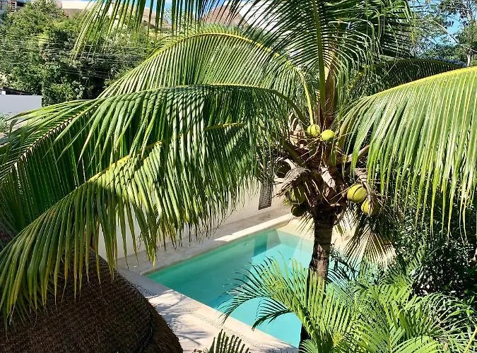 Apartment Tua Large Comfortable Pool Parking Space Tulum