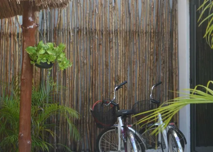 Apartment Tua Large Comfortable Pool Parking Space Tulum